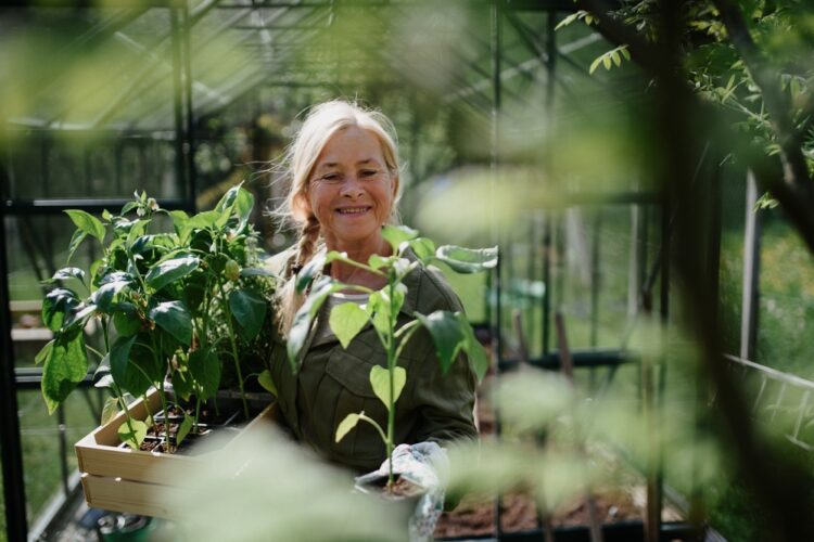 Discover the Joy of Gardening in Your Golden Years a Sustainable and Fun Way to Stay Active and Engaged