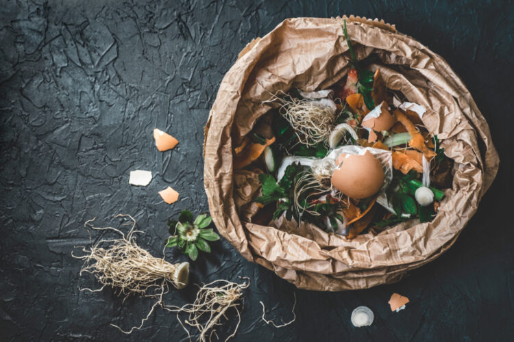 Enriching Retirement: The Ultimate DIY Composting Guide for Senior Gardeners