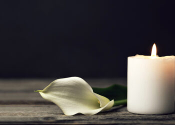 Unraveling the Threads of Grief: A Family’s Guide to Healing After Loss