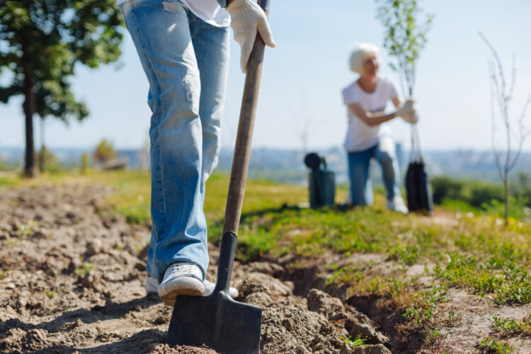 Unlocking the Power of Altruism: The Remarkable Benefits of Volunteering and Giving Back